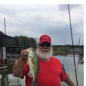 Meet your Posher, Ronnie